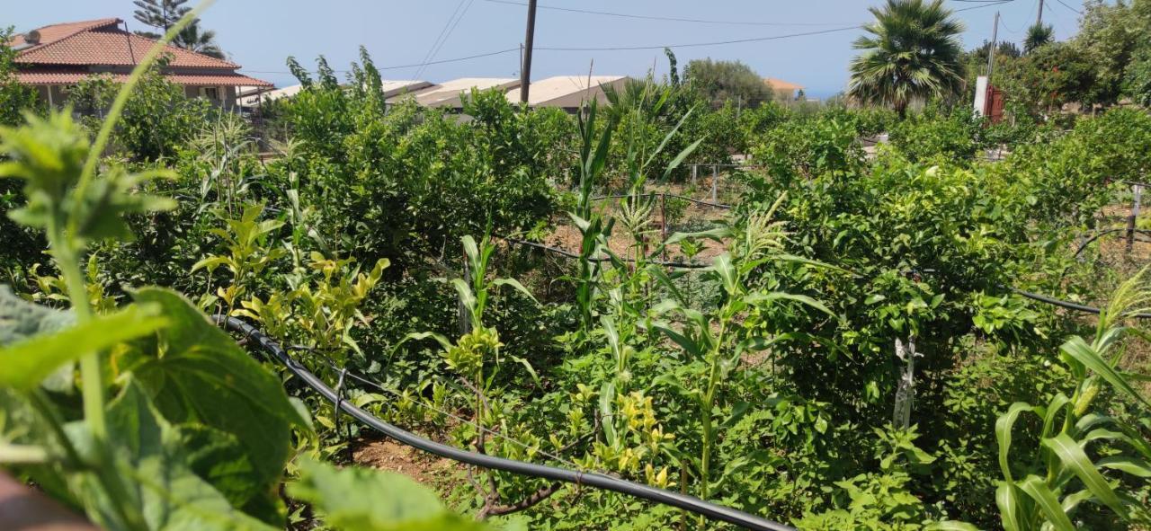 Appartamento Rontaki Farm Kyparissia Esterno foto